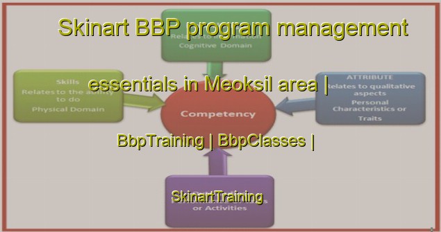 Skinart BBP program management essentials in Meoksil area | BbpTraining | BbpClasses | SkinartTraining-Republic of Korea